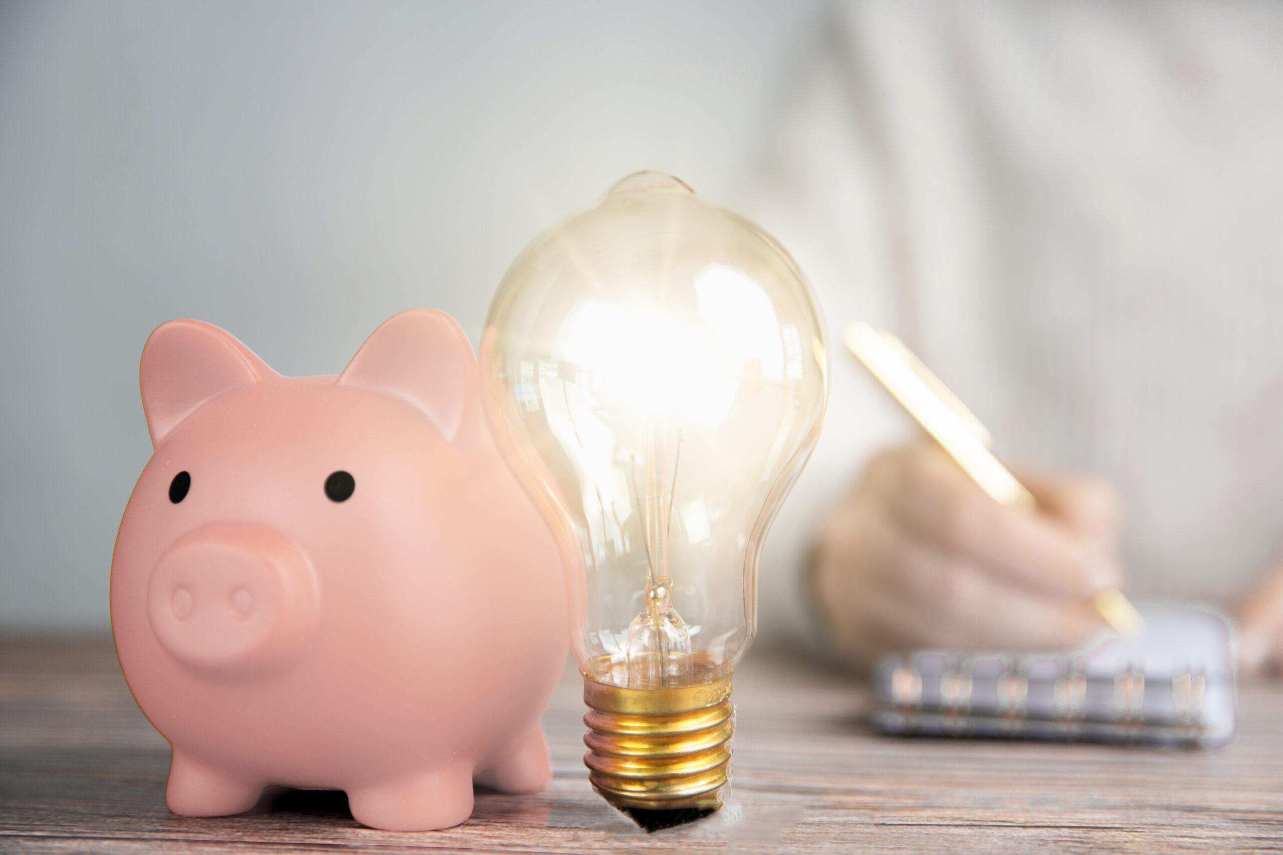 Shining lightbulb and pink piggy bank, Energy Efficiency and Savings: The Bright Side of Tankless Water Heaters.