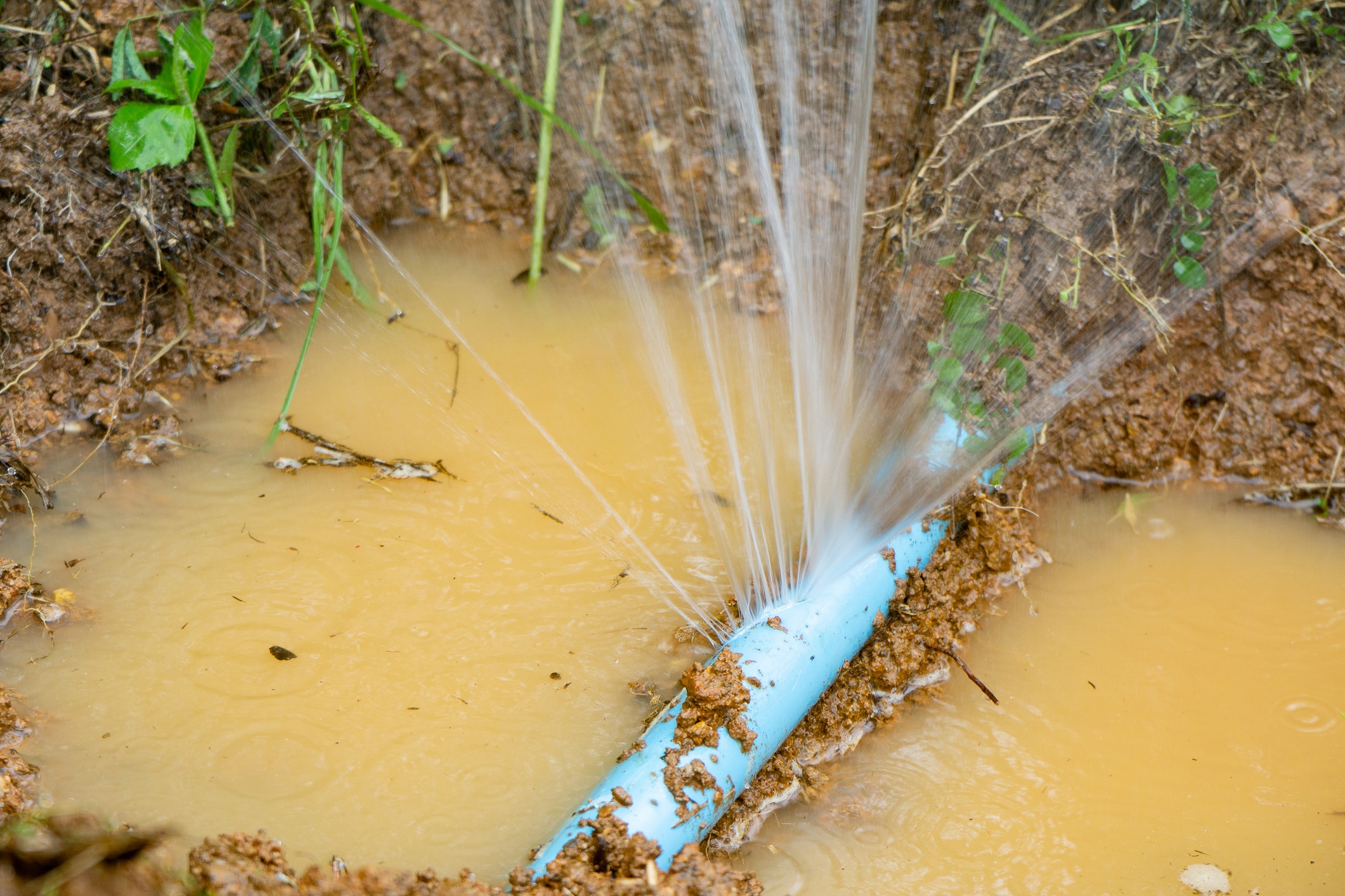 Clay soil affects on plumbing systems.