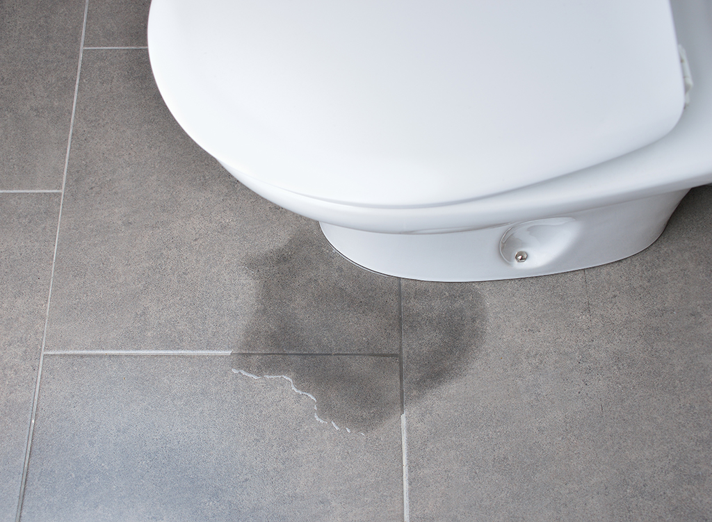 Plumber Tips: What To Do When Your Toilet Is Leaking At The Base | Sugar Land, TX