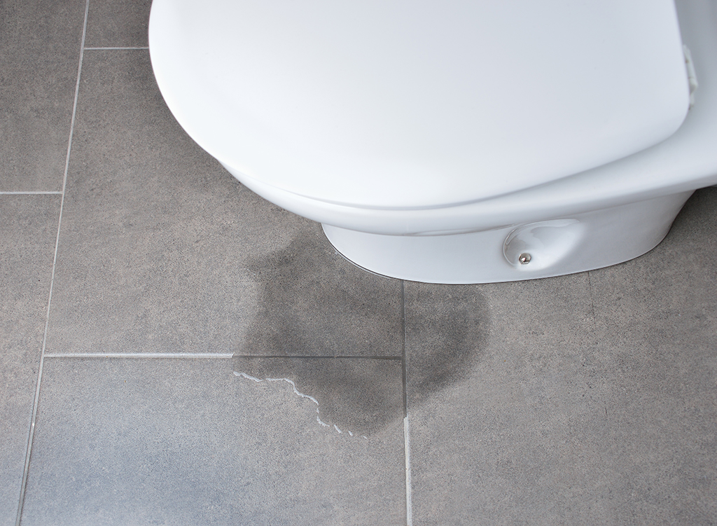 Plumber Tips: What To Do When Your Toilet Is Leaking At The Base | Sugar Land, TX