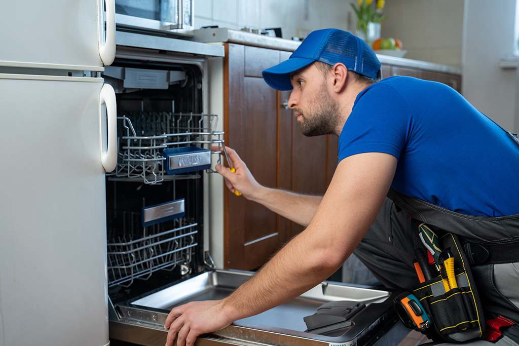 Reasons To Call A Plumber To Repair Your Improperly Draining Dishwasher | Memorial City