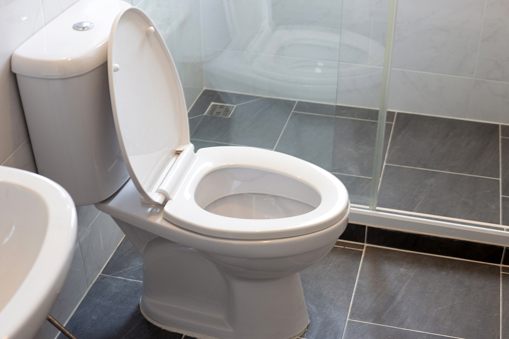 Toilet Constantly Getting Clogged? Schedule A Drain Cleaning Service To Find Out Why | Sugar Land, TX