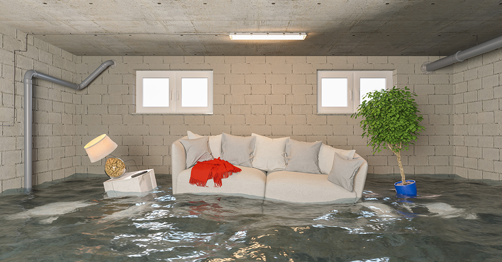 How A Plumber Can Help You Deal With Basement Floods | Sugar Land, TX