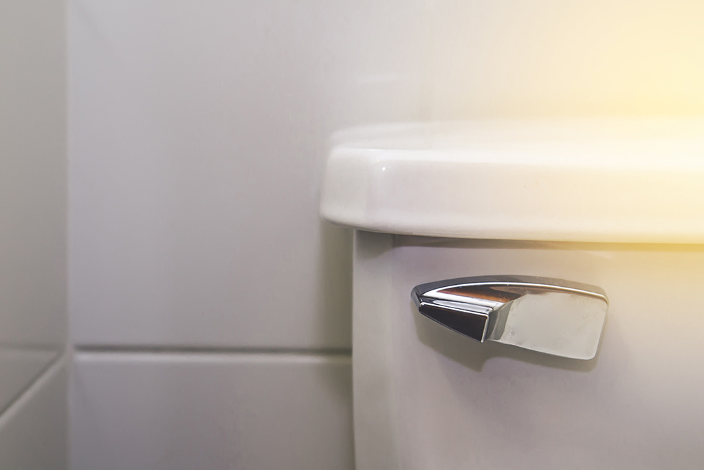 Why Your Toilet Isn’t Flushing Properly And How Your Plumber Can Fix It | Sugar Land, TX