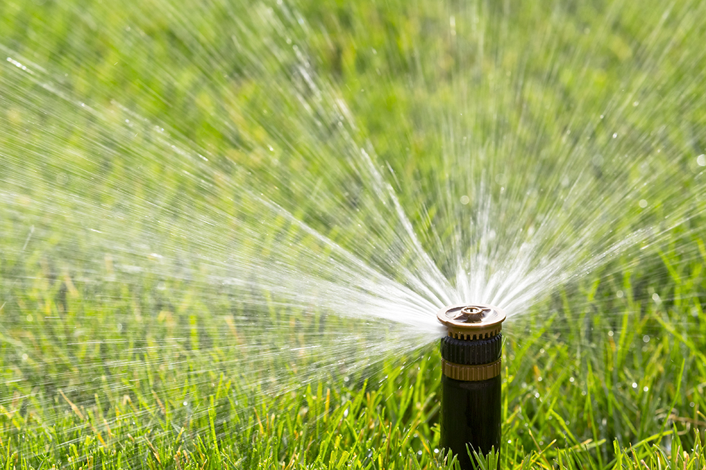 Plumbing Services To Protect Your Water Sprinkler From Damage | Houston, TX