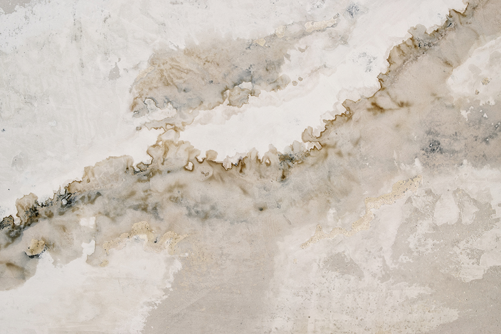 The Dangers Of Hidden Water Leaks That A Plumber Can Prevent | Houston, TX