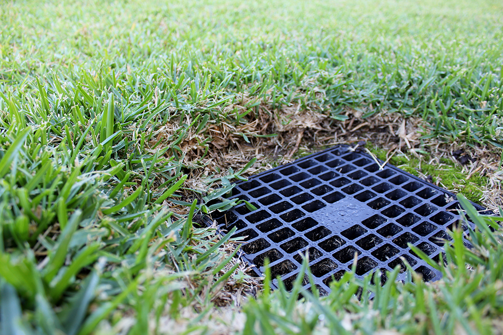 A Plumber’s Recommendations On When To Clean Your Yard Drain | Katy, TX