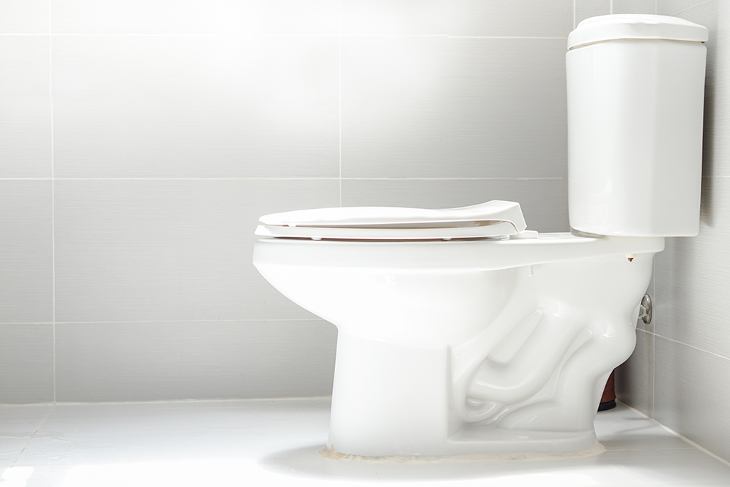 Does Your Toilet Make Random Noises? Your Plumbing Company Explains What The Sounds Mean | Sugar Land, TX