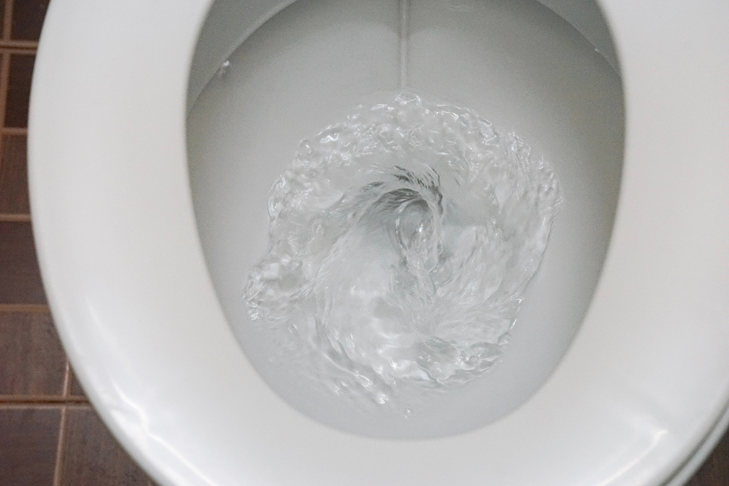 Let A Plumber Help You Keep Your Sewer Line Clear | Houston, TX