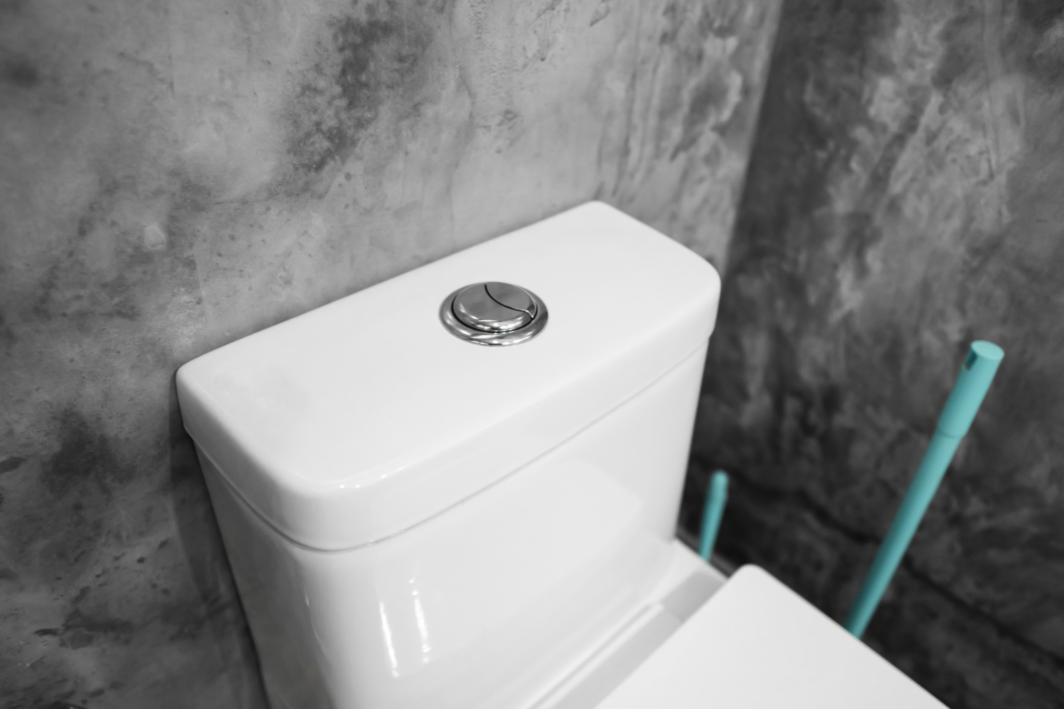 Dual Flush Toilet Smart Fixtures.