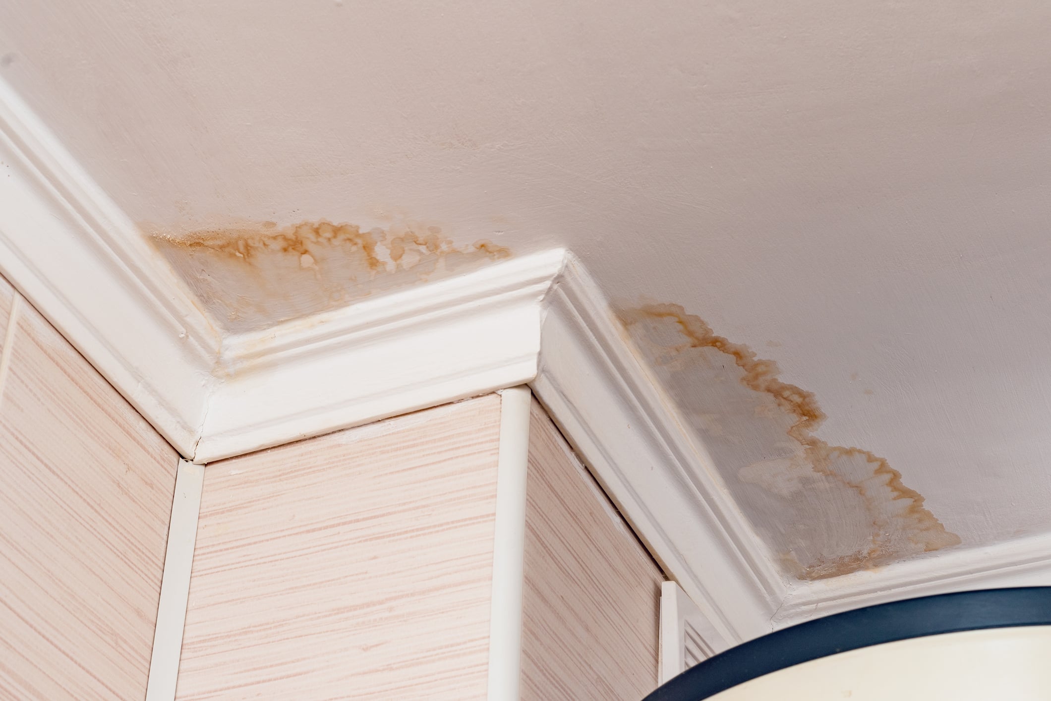 Water leak, water-damaged ceiling, Leak Detection.